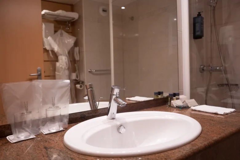Salle de bain : vasque, produits d'accueil et douche vitrée